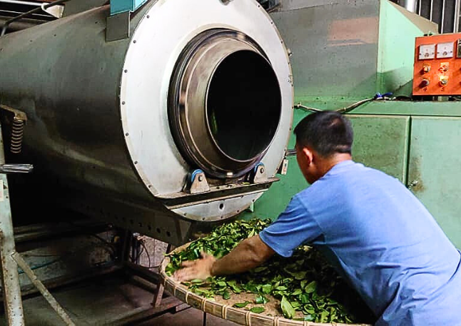 三福茶行】キンモクセイ烏龍茶ティーバッグ l 茶園直営・自家製