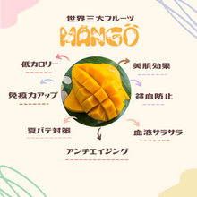 画像をギャラリービューアに読み込む, ★予約受付中★【送料無料】アップルマンゴー(2.5Kg・5.0kg)※クール便 2026年