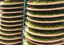 画像をギャラリービューアに読み込む, 【林華泰茶行】蜜香紅茶 150g