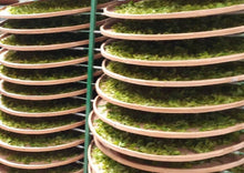 画像をギャラリービューアに読み込む, 【林華泰茶行】ウーロン茶/烏龍茶 150g