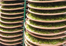 画像をギャラリービューアに読み込む, 【林華泰茶行】鉄観音茶 150g