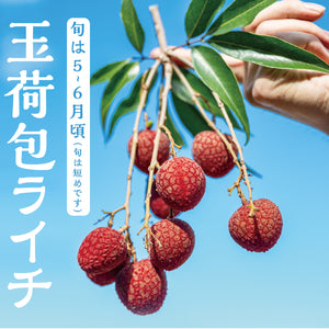 ★2024年期間限定【台湾産玉荷包ライチ】約3.0kg　※NT$100 OFF ※クール便送料込み