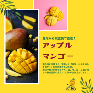 ★2025年期間限定【アップルマンゴー】【2.5Kg】【5.0kg】※NT$200 OFF※ 受付締切日：4月29日（火）　クール便送料無料
