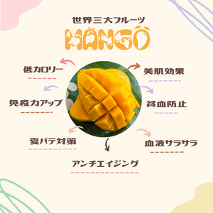 ★2025年期間限定【アップルマンゴー】【2.5Kg】【5.0kg】※NT$200 OFF※ 受付締切日：4月29日（火）　クール便送料無料