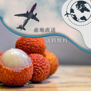 ★2025年期間限定【台湾産玉荷包ライチ】約3.0kg　※NT$200 OFF ※クール便送料込み
