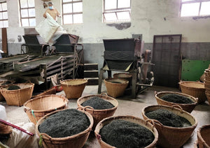 【林華泰茶行】小種ウーロン茶／小種烏龍茶 150g